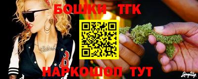 индика Тулун