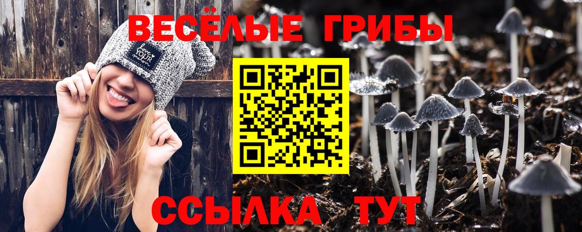 Псилоцибиновые грибы ЛСД  Вход с VPN  купить   Новый Уренгой 
